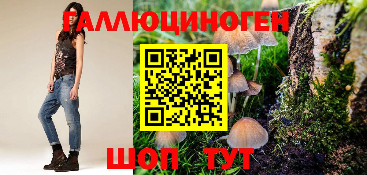 Галлюциногенные грибы Magic Shrooms  Псилоцибиновые грибы ЛСД  Заволжье  Вход с VPN 