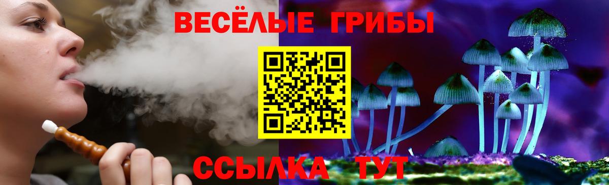 Псилоцибиновые грибы прущие грибы Заволжье